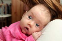 /album/fotogalerie-uvodni-stranka/ema-2-jpg/